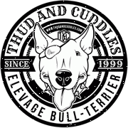 THUDANDCUDDLES-BULLTERRIER-chiot bull-Moulis